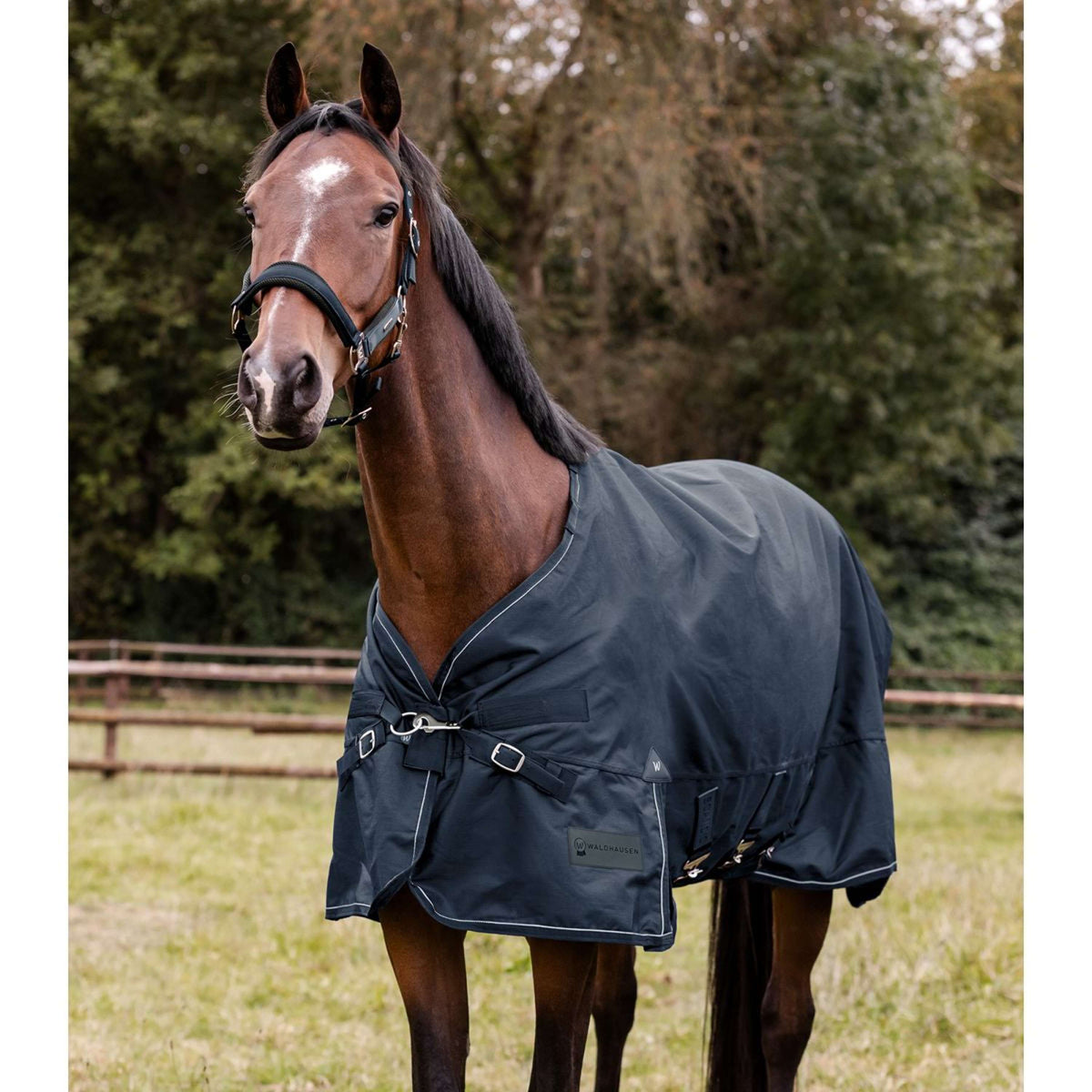 Waldhausen Outdoordecke Scandic Multi-Layer 50/150g Nightblue