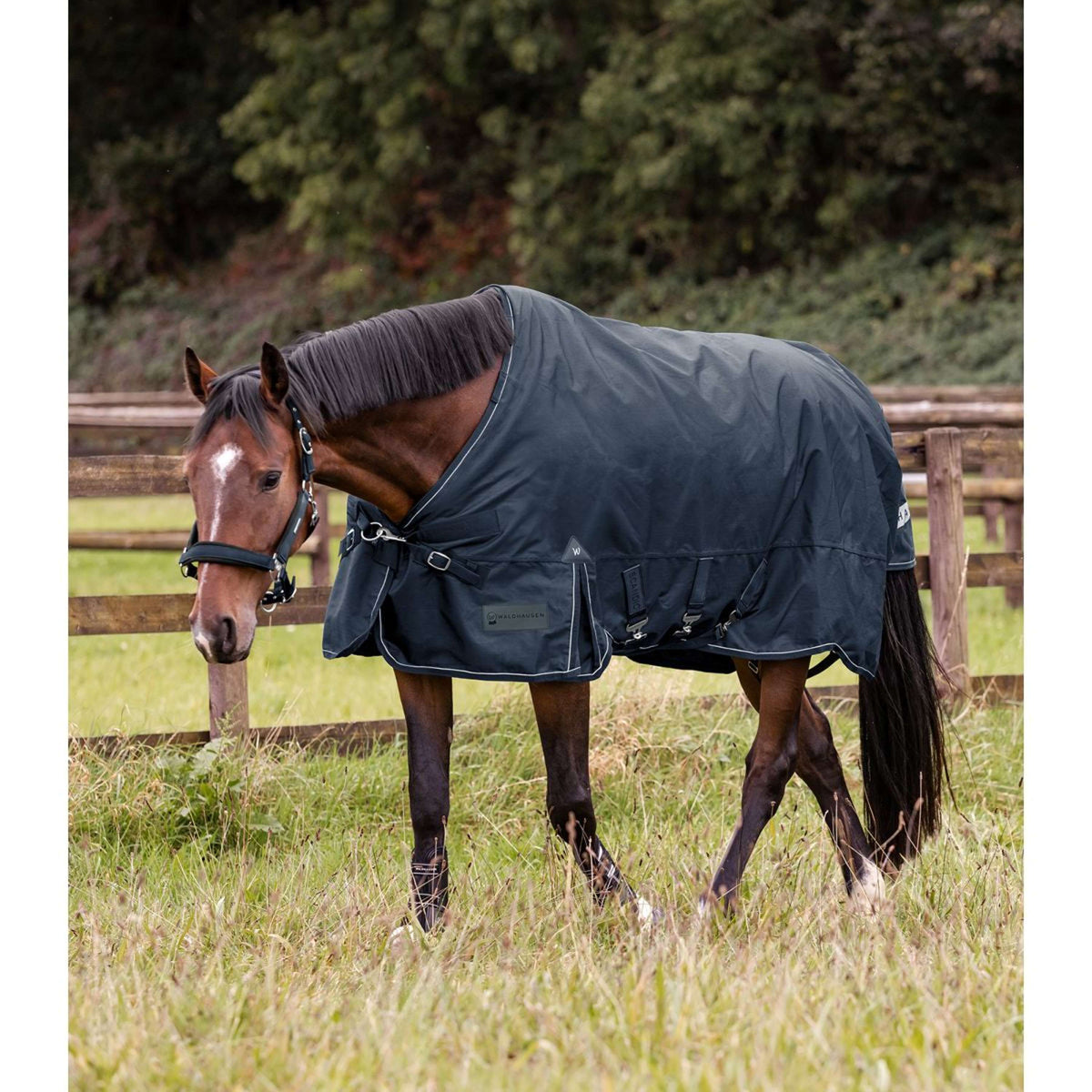 Waldhausen Outdoordecke Scandic Multi-Layer 50/150g Nightblue