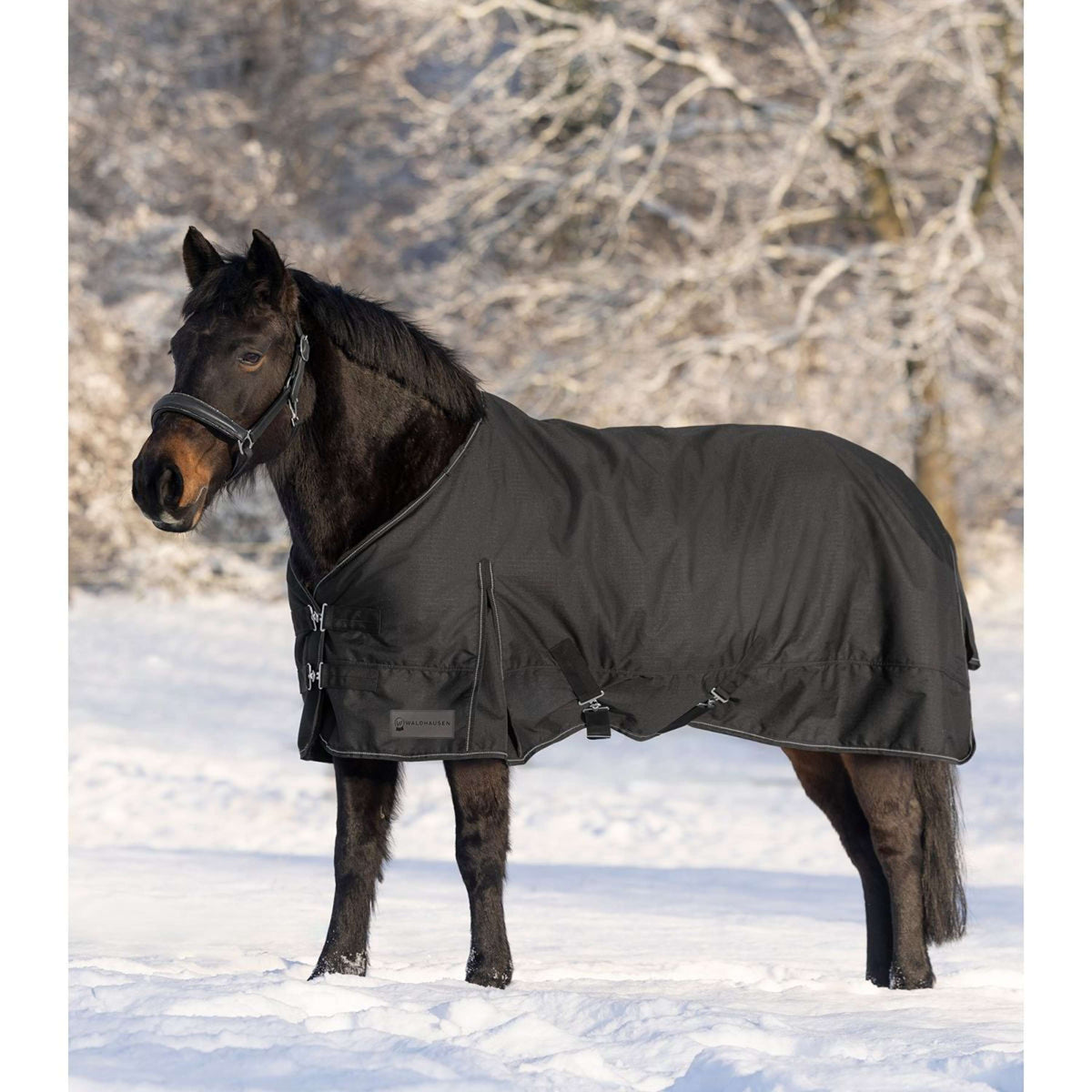 Waldhausen Outdoordecke Nordic Fleece Schwarz