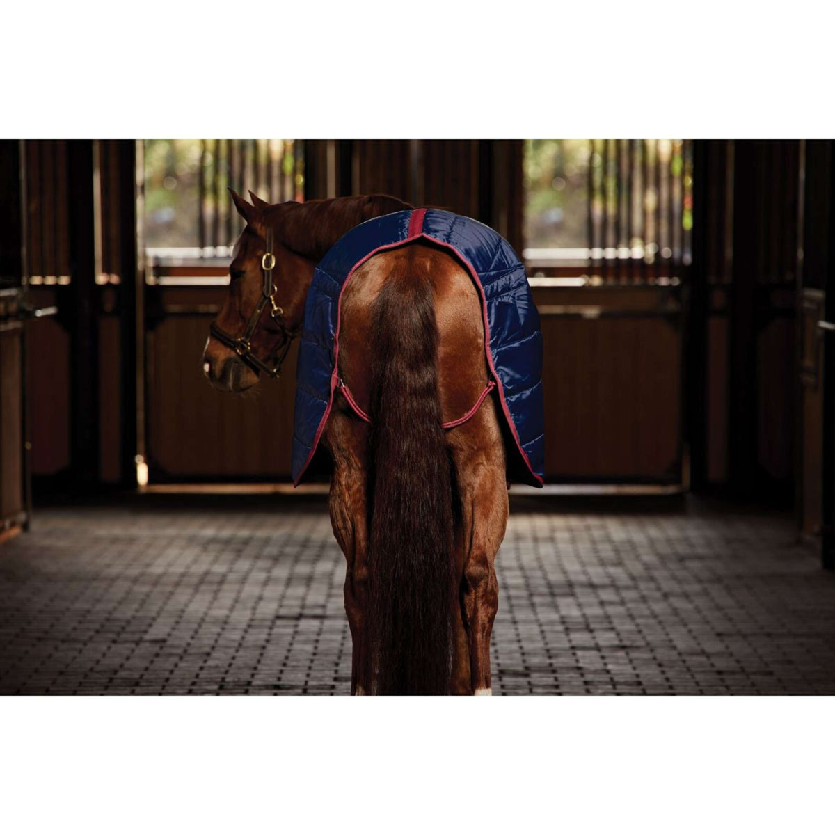 WeatherBeeta Stalldecke ComFiTec 210D Channel Quilt Standard Neck 220g Navy/Burgundy