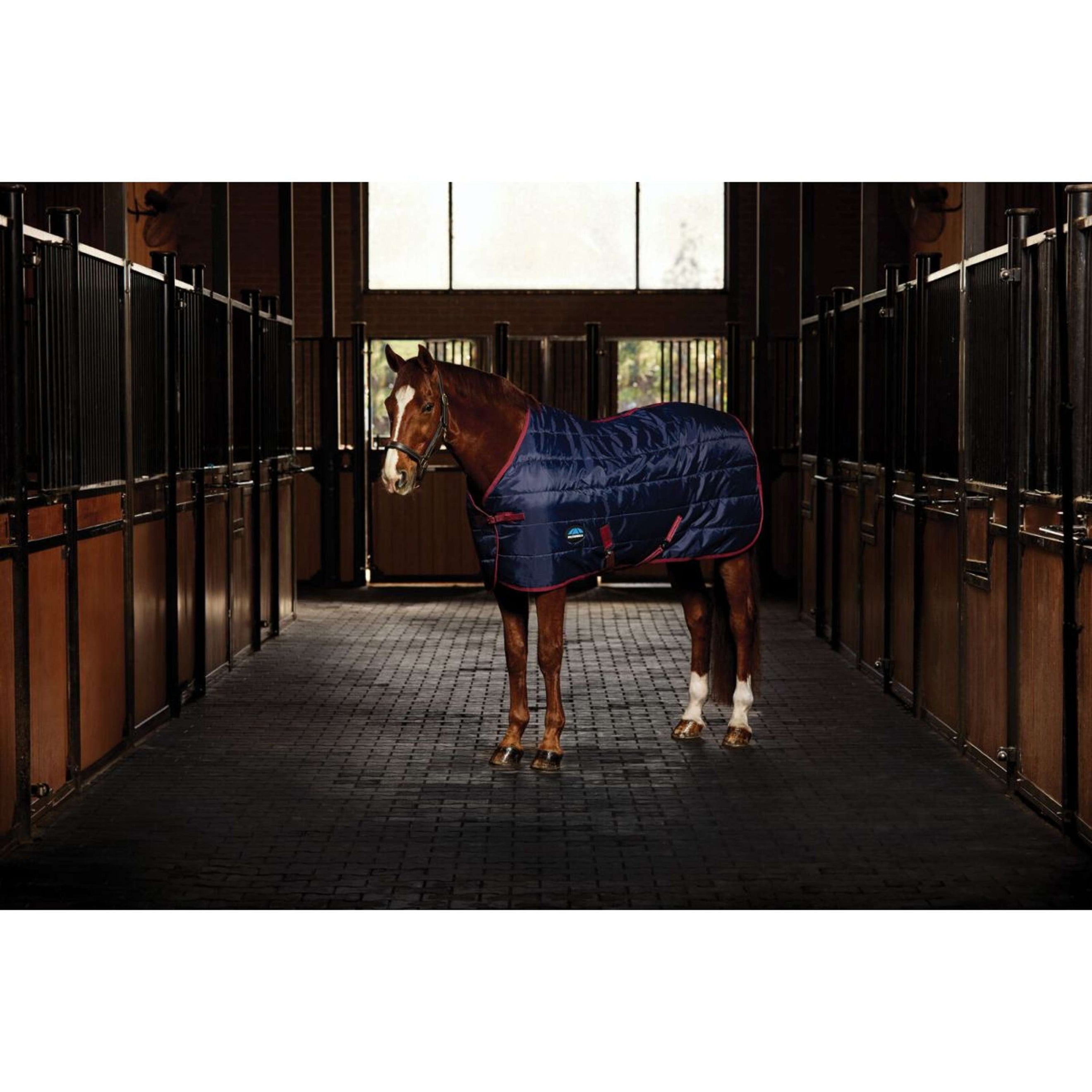 WeatherBeeta Stalldecke ComFiTec 210D Channel Quilt Standard Neck 100g Navy/Burgundy