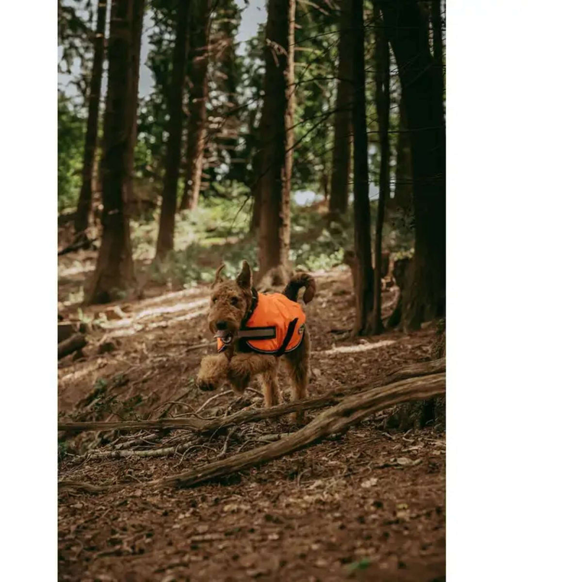 WeatherBeeta Dog Coat Reflektierend Parka 300D Orange