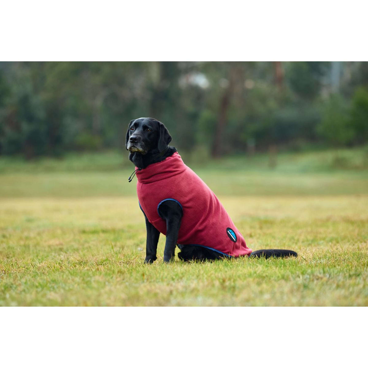 WeatherBeeta Hundedecke ComFiTec Fleece Zip Burgund/Navy