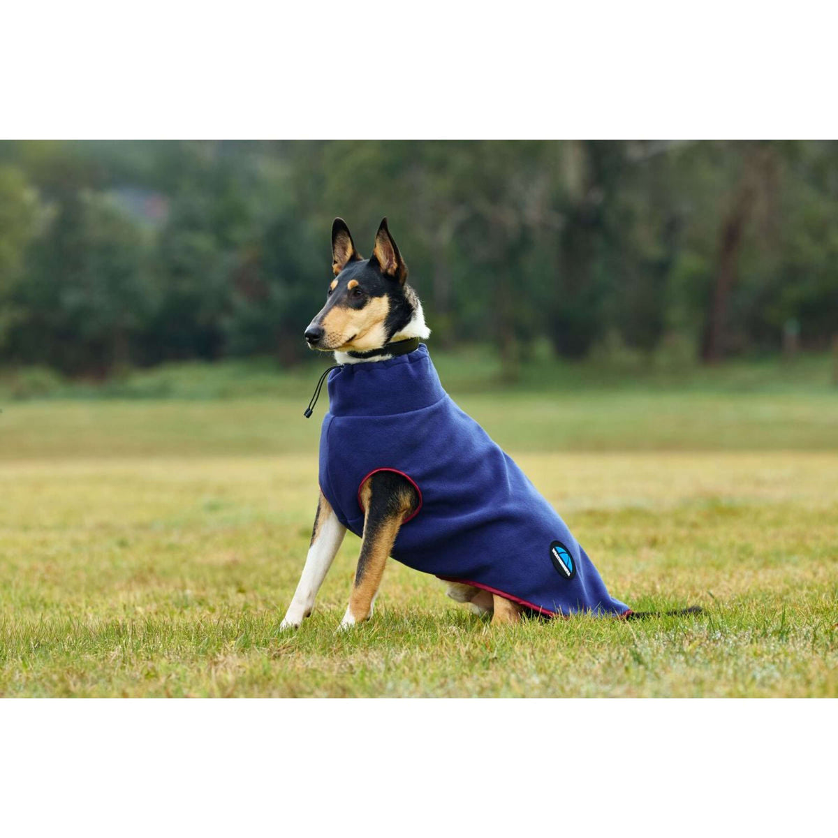 WeatherBeeta Hundedecke ComFiTec Fleece Zip Navy/Burgundy