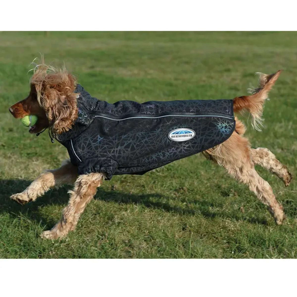 WeatherBeeta Hundejacke ComFiTec Reflective Print Active Schwarz/Rainbow
