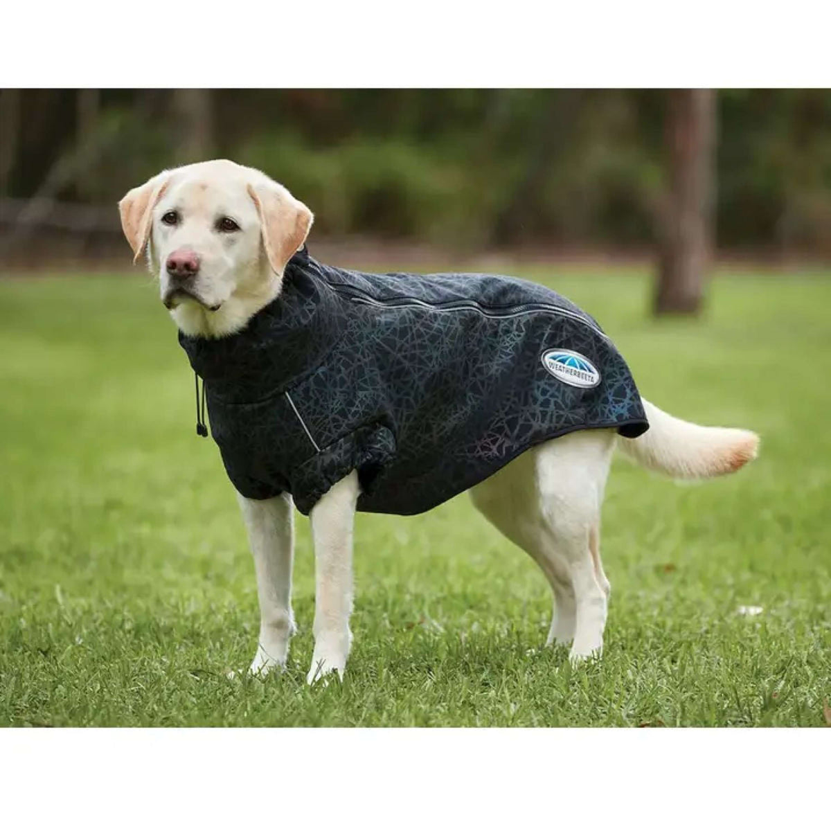 WeatherBeeta Hundejacke ComFiTec Reflective Print Active Schwarz/Rainbow