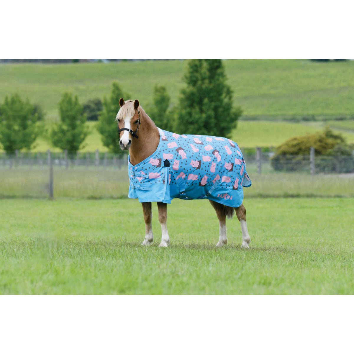 Saxon Winterdecke Standard Neck Medium 600D Pony Pig Print