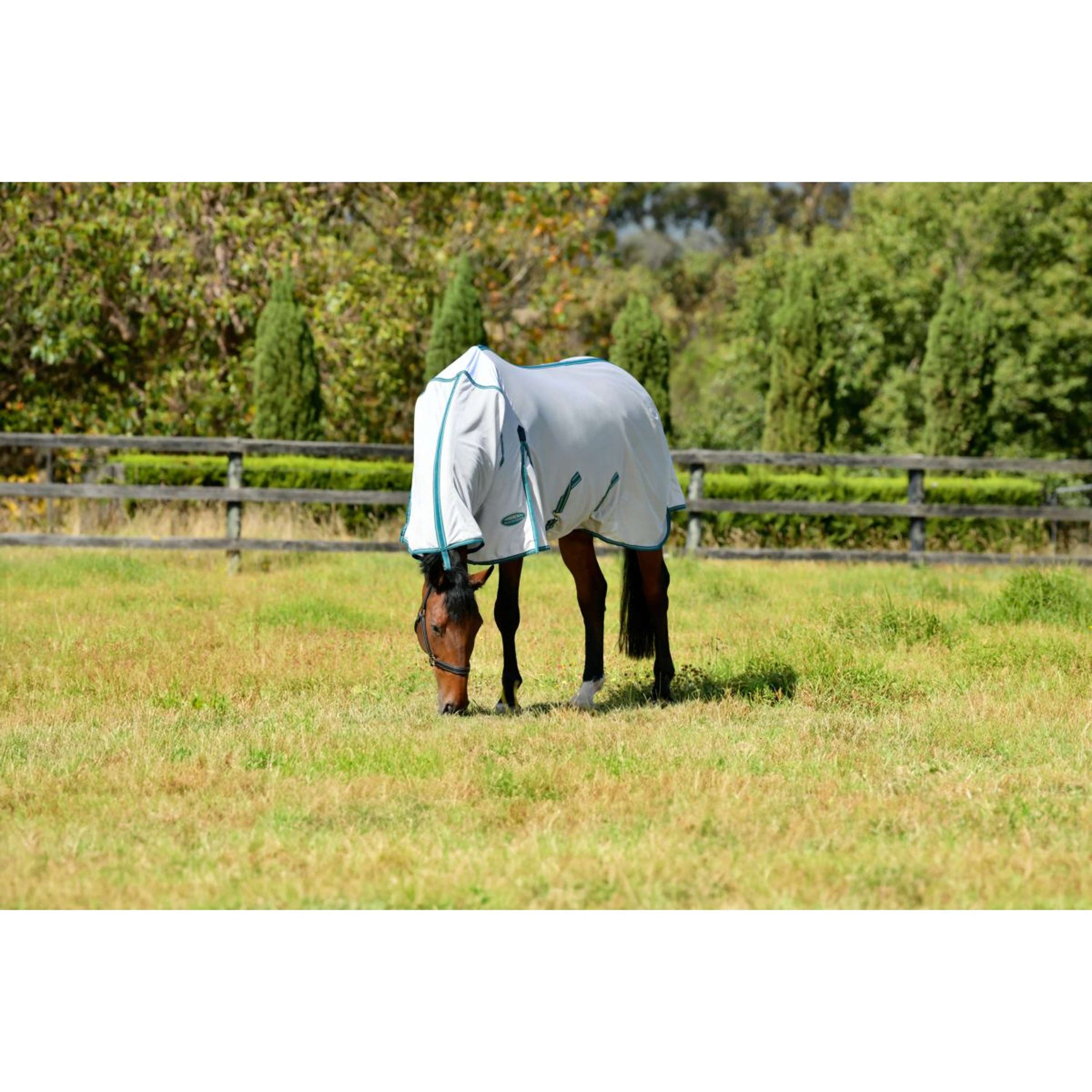 WeatherBeeta Fliegendecke ComFiTec Zephyr Plus Mesh Combo Neck Silver/Teal Green/Stone WeatherBeeta Fliegendecke ComFiTec Zephyr Plus Mesh Combo Neck Silver/Teal Green/Stone