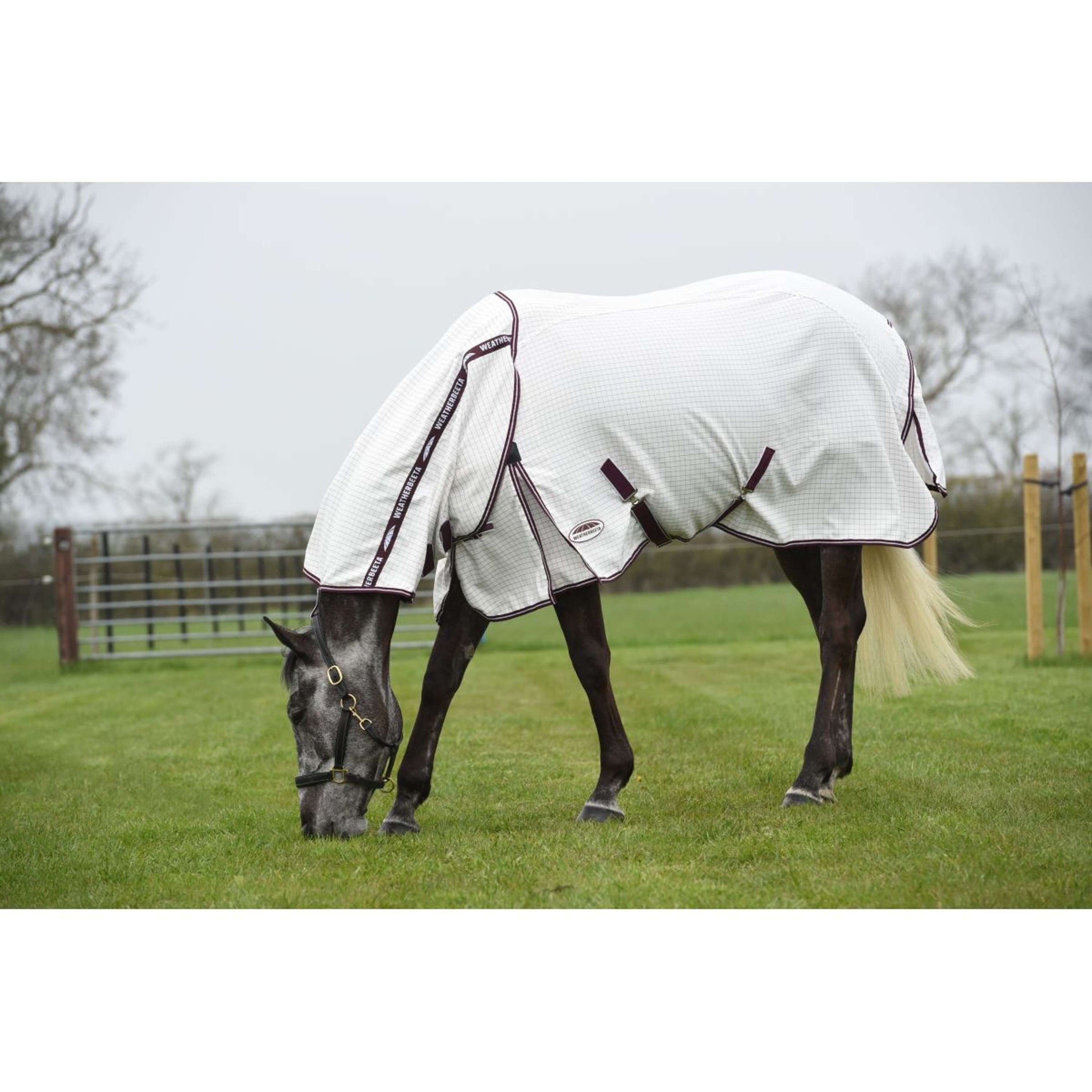 WeatherBeeta Sommerdecke Hybrid Seasons Combo Neck White/Maroon WeatherBeeta Sommerdecke Hybrid Seasons Combo Neck White/Maroon