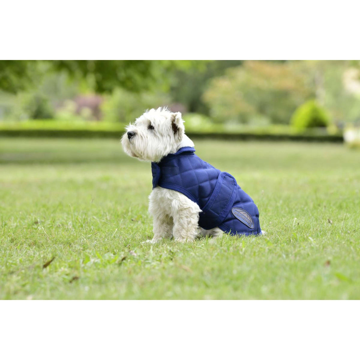 Weatherbeeta Hundedecke Comfitec Deluxe Diamond Quilt Navy