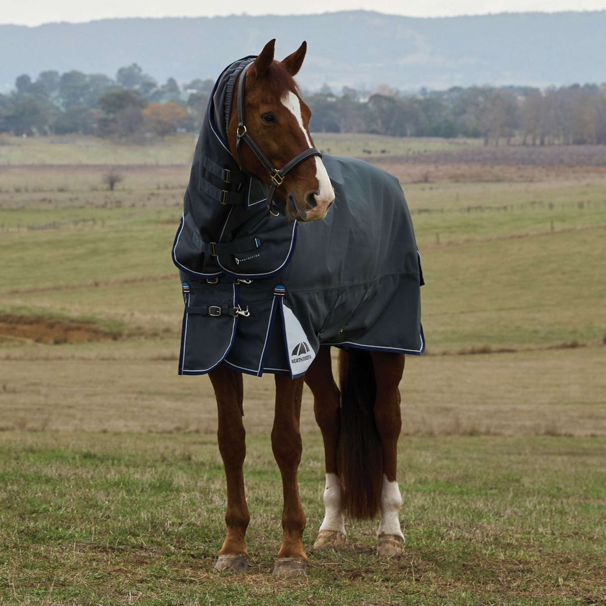 WeatherBeeta ComFiTec Ultra Turnout Detach-A-Neck 360g Kohle