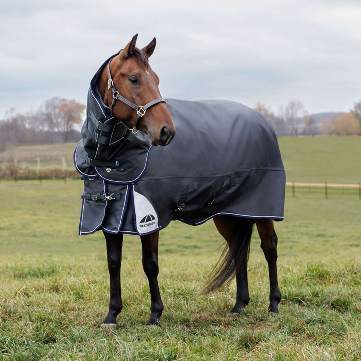 WeatherBeeta ComFiTec Ultra Turnout Detach-A-Neck 360g Kohle