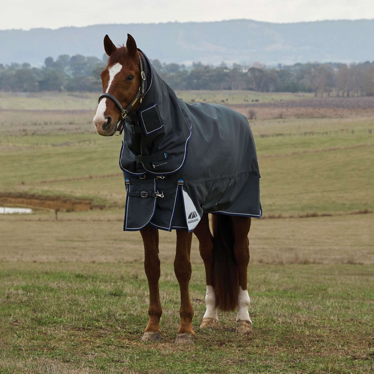WeatherBeeta ComFiTec Ultra Turnout Detach-A-Neck 360g Kohle
