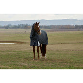 WeatherBeeta ComFiTec Ultra Turnout Detach-A-Neck 100g Kohle