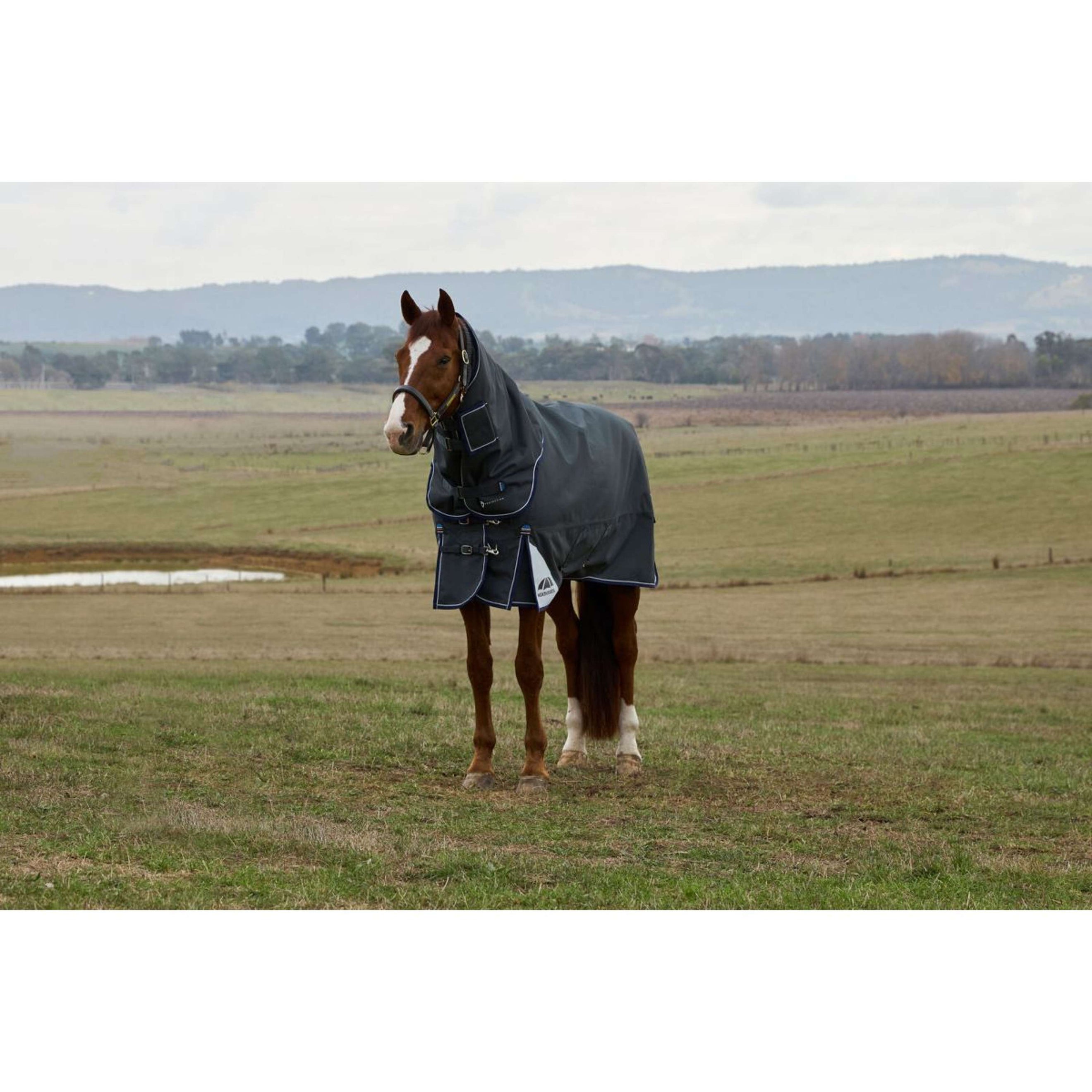 WeatherBeeta ComFiTec Ultra Turnout Detach-A-Neck 220g Kohle