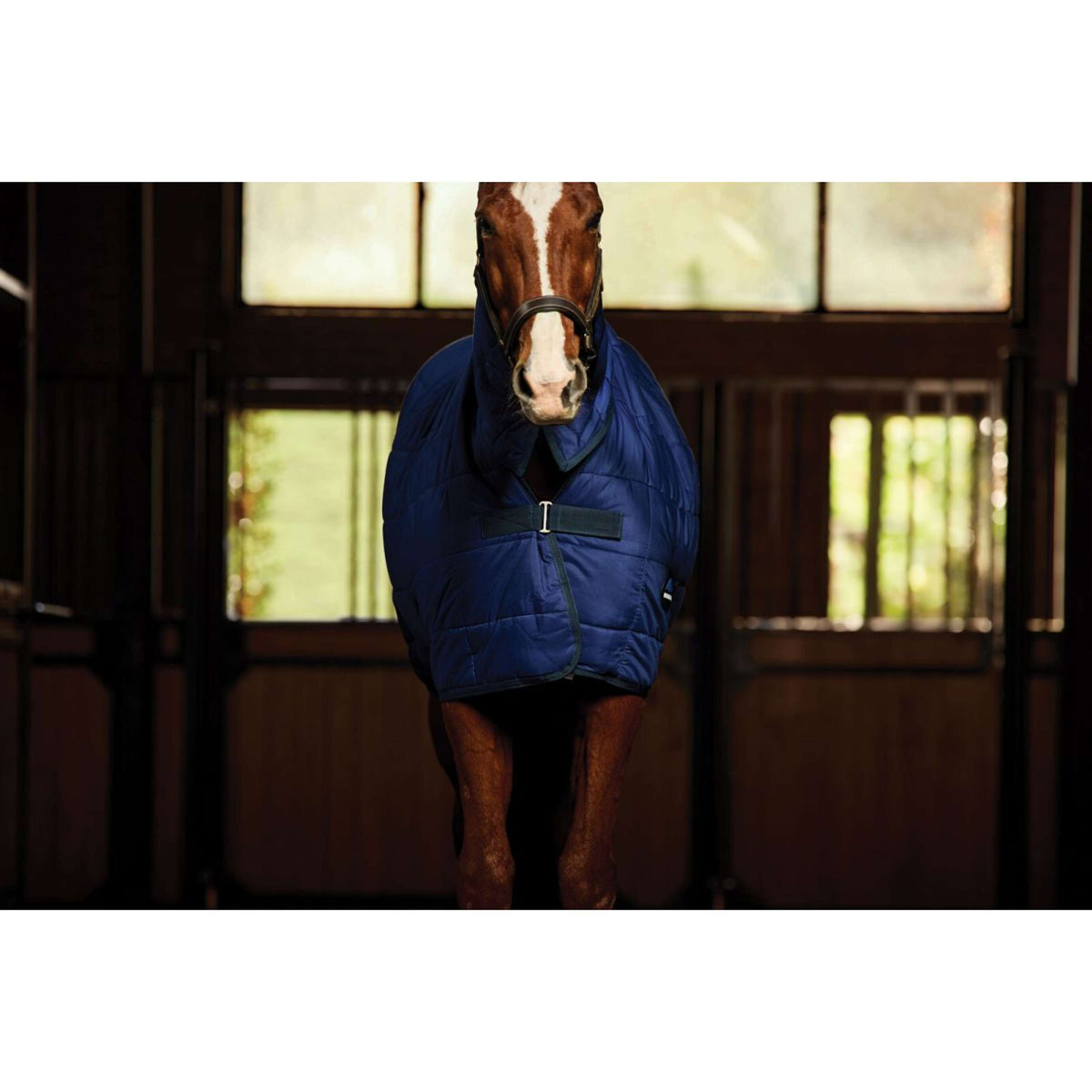 WeatherBeeta Unterdecken ComFiTec Combo Neck 220g Navy