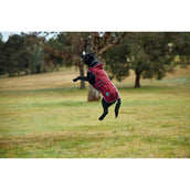 WeatherBeeta Hundedecke ComFiTec Premier Deluxe Waterproof Burgund/Navy