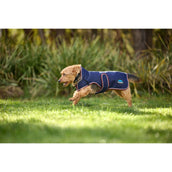 WeatherBeeta Hundedecke ComFiTec Premier Deluxe Waterproof Navy/Burgundy