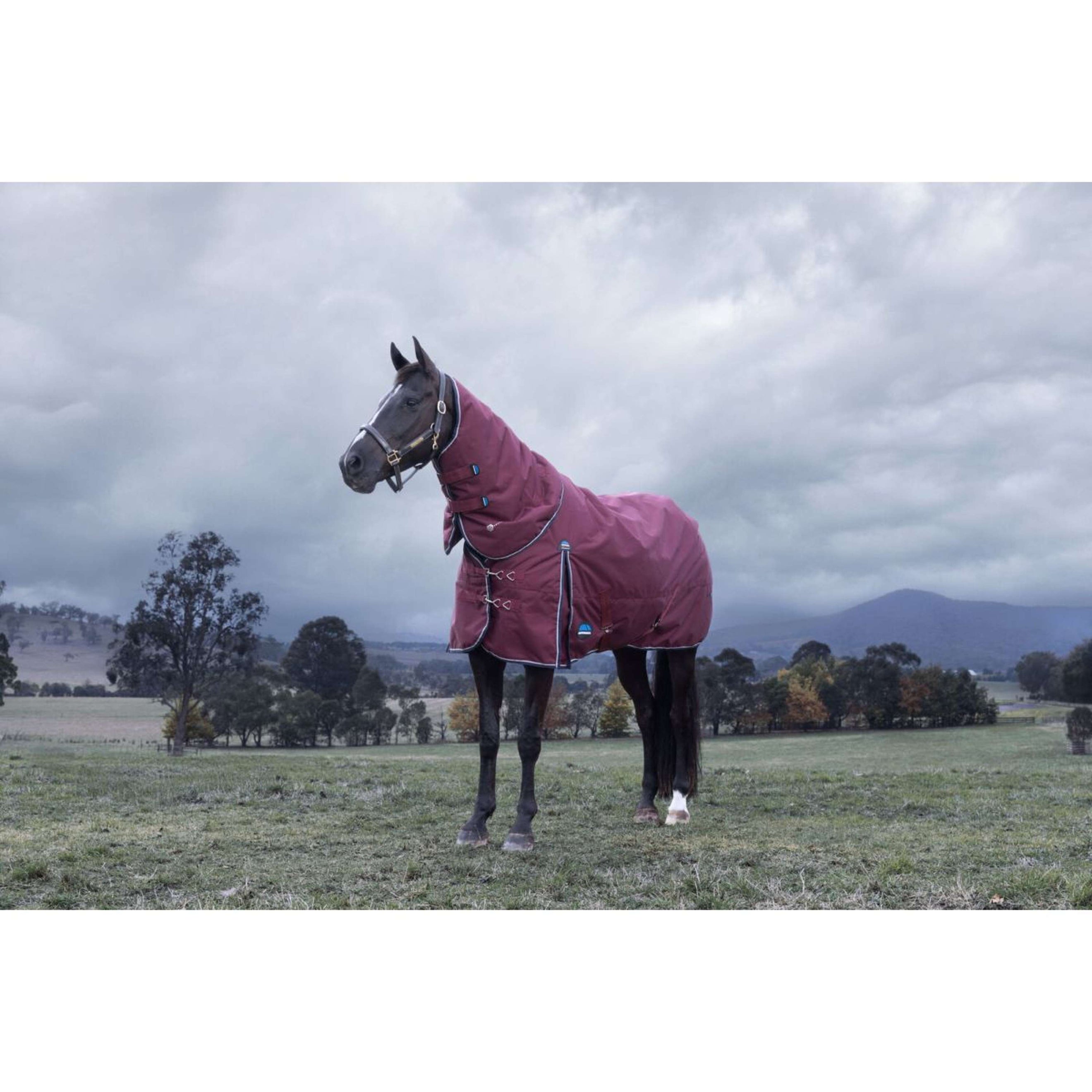 WeatherBeeta ComFiTec Essential Turnout Detach-A-Neck 220g Burgund/Navy WeatherBeeta ComFiTec Essential Turnout Detach-A-Neck 220g Burgund/Navy