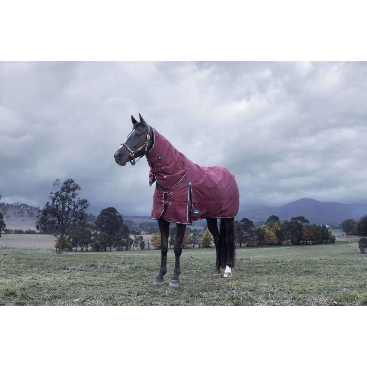 WeatherBeeta ComFiTec Essential Turnout Detach-A-Neck 220g Burgund/Navy