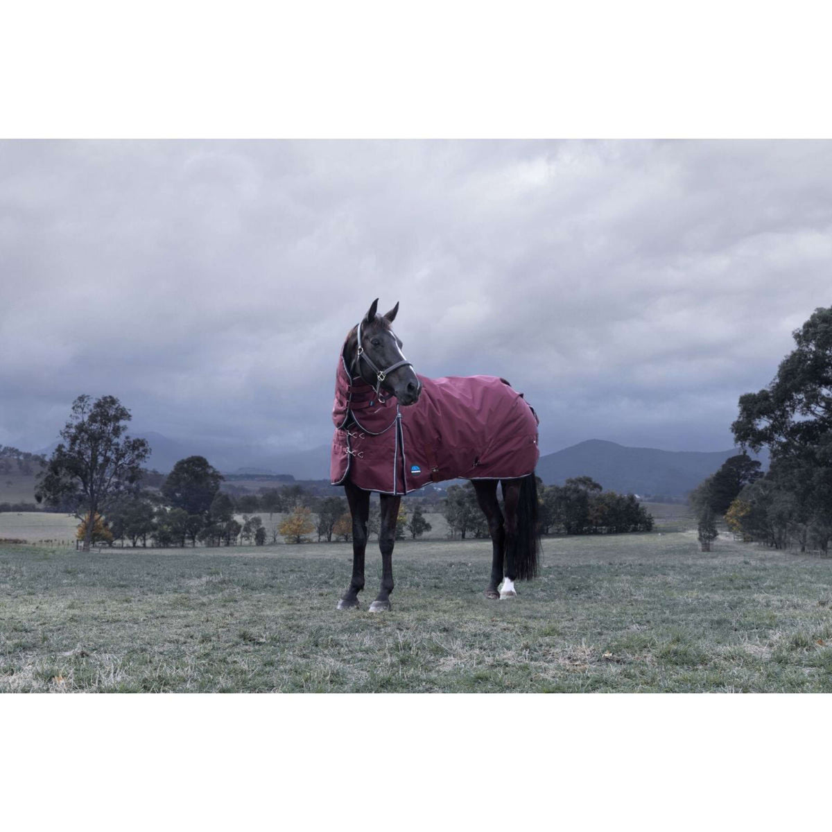 WeatherBeeta ComFiTec Essential Turnout Detach-A-Neck 220g Burgund/Navy