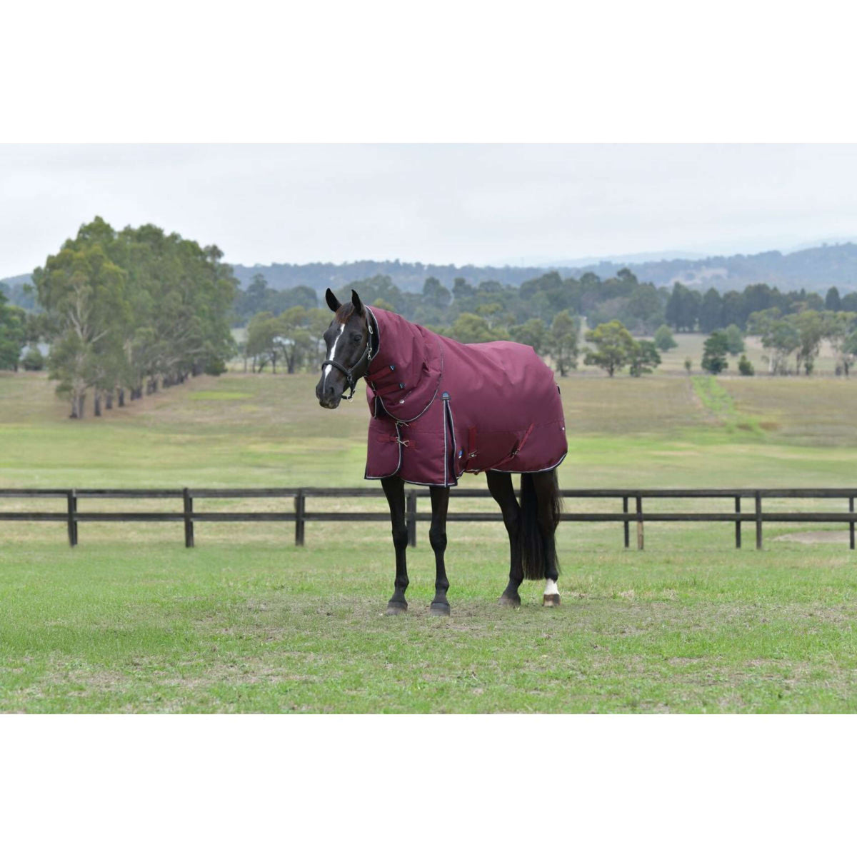 WeatherBeeta ComFiTec Essential Turnout Detach-A-Neck 220g Burgund/Navy