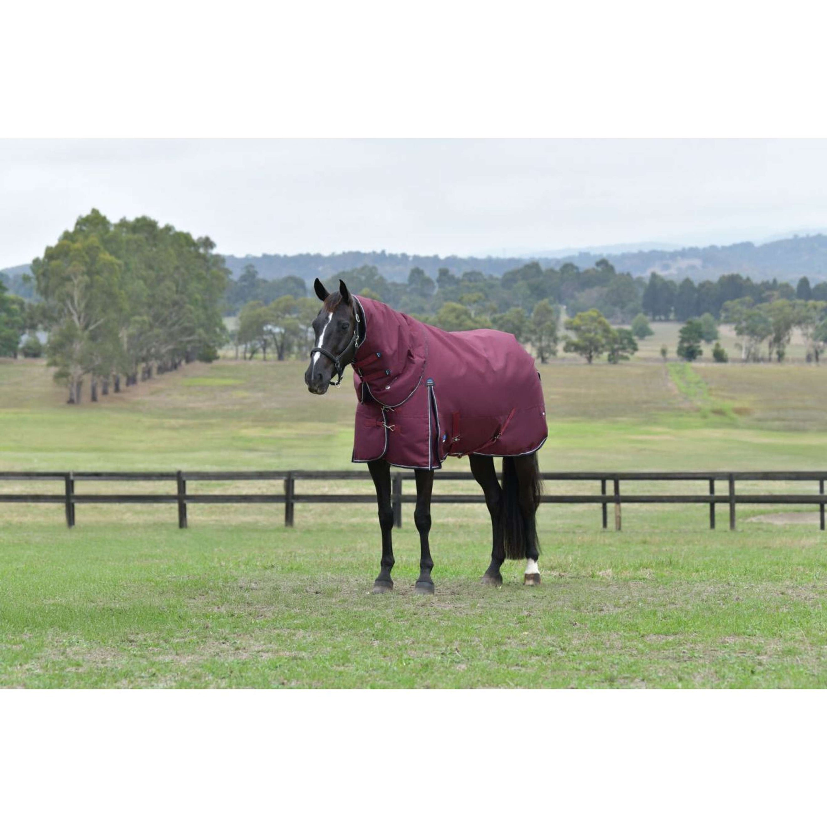 WeatherBeeta ComFiTec Essential Turnout Detach-A-Neck 220g Burgund/Navy