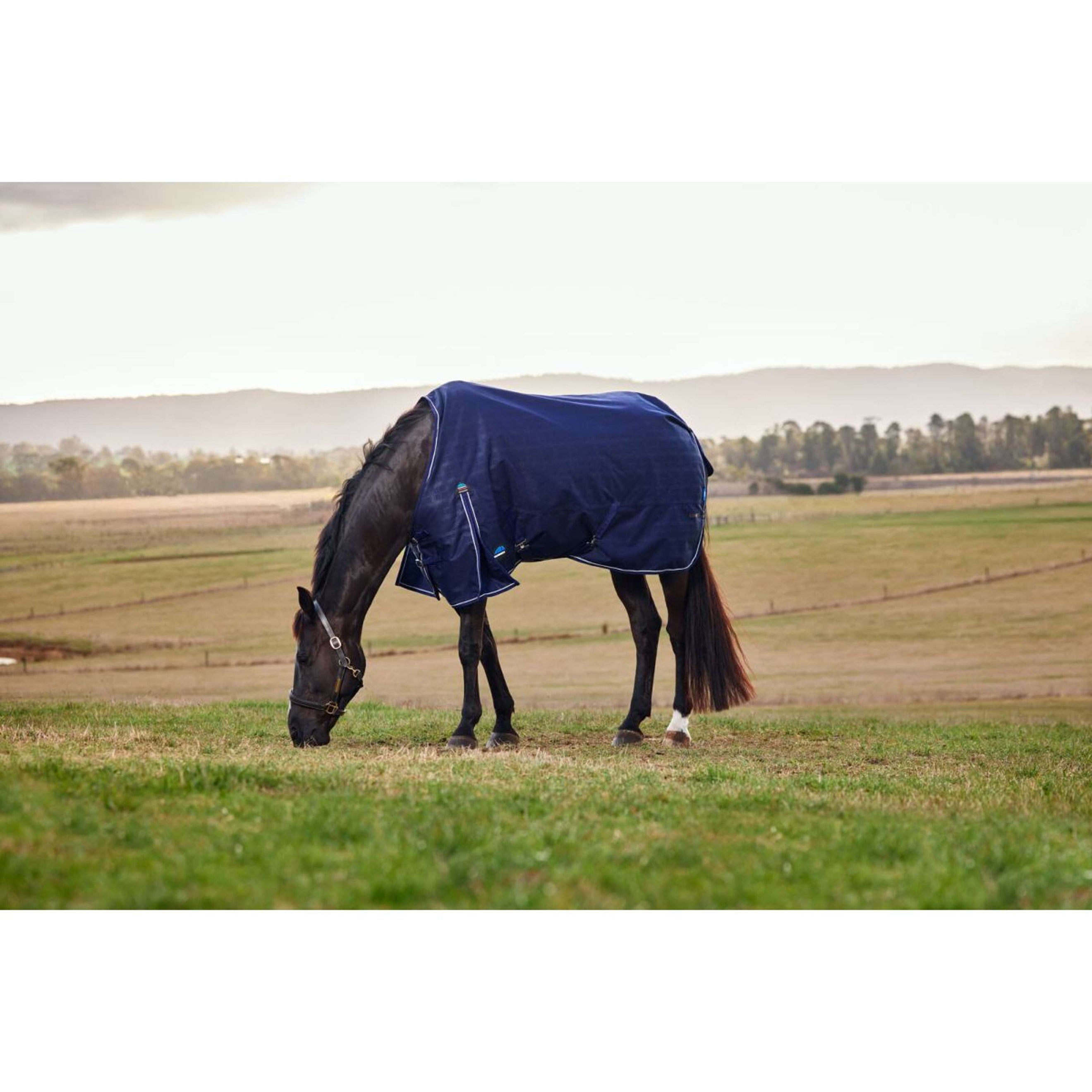 WeatherBeeta ComFiTec Prelim Turnout 220g Navy Embossed Plaid WeatherBeeta ComFiTec Prelim Turnout 220g Navy Embossed Plaid