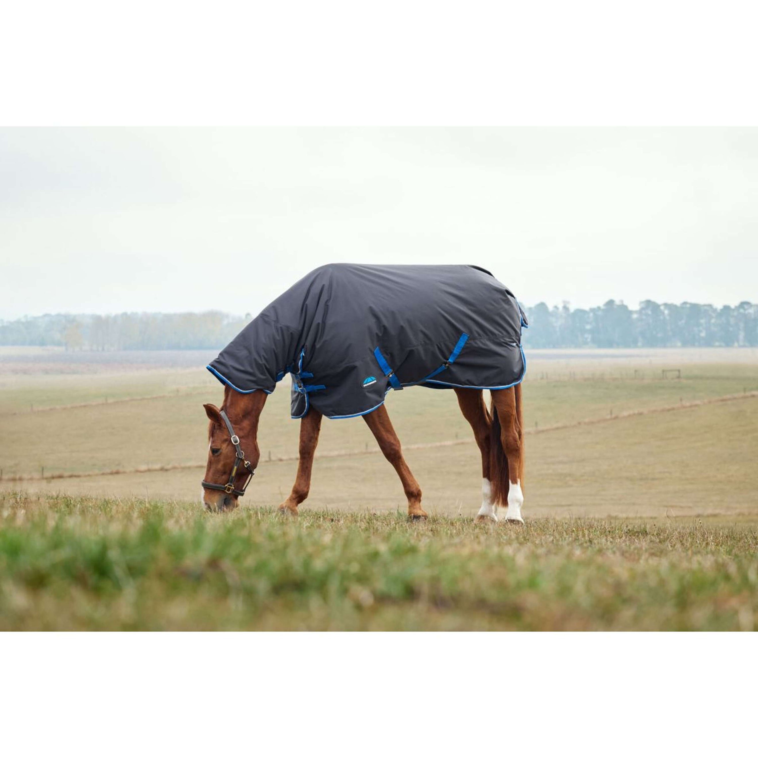 WeatherBeeta ComFiTec Tyro Turnout Combo Neck 220g Schwarz/Kobalt WeatherBeeta ComFiTec Tyro Turnout Combo Neck 220g Schwarz/Kobalt