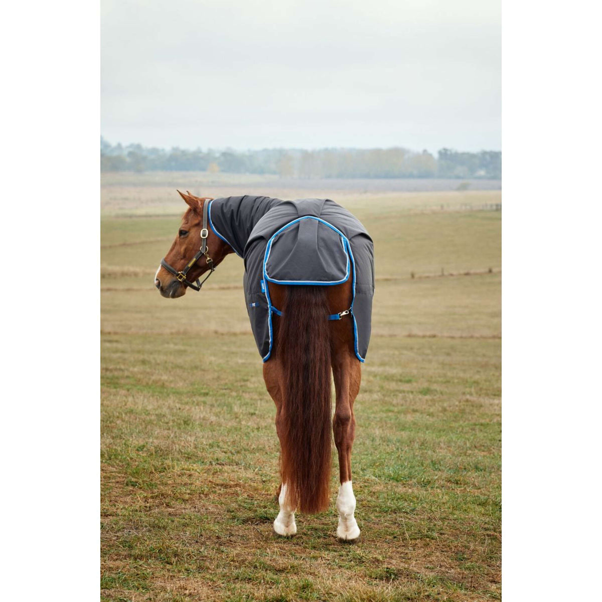 WeatherBeeta ComFiTec Tyro Turnout Combo Neck 220g Schwarz/Kobalt