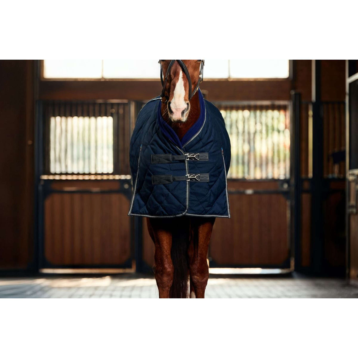 WeatherBeeta Stalldecke ComFiTec 100D Diamond Quilt Detach-A-Neck 220g Navy/Kohle