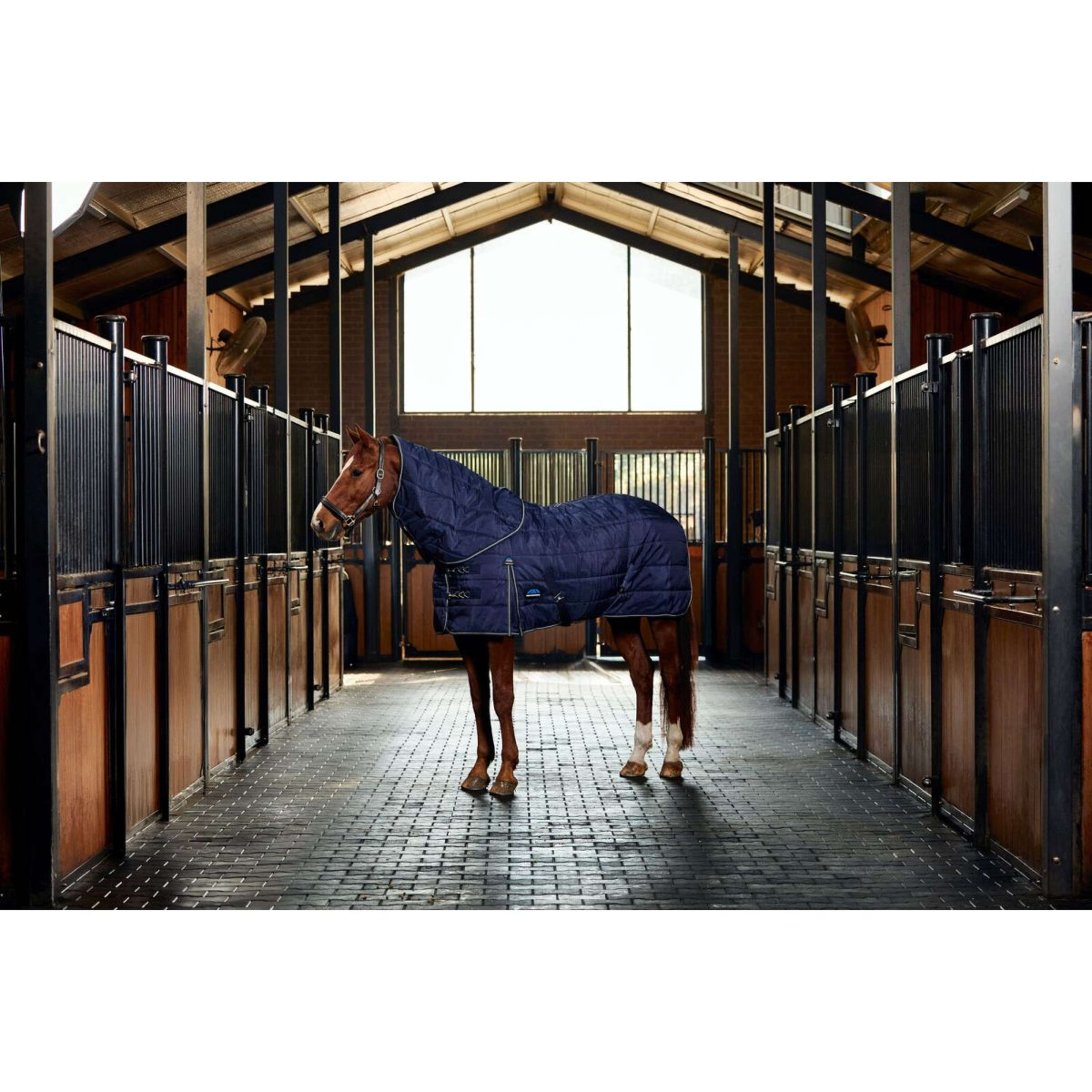 WeatherBeeta Stalldecke ComFiTec PP Channel Quilt Detach-A-Neck 220g Navy/Kohle WeatherBeeta Stalldecke ComFiTec PP Channel Quilt Detach-A-Neck 220g Navy/Kohle