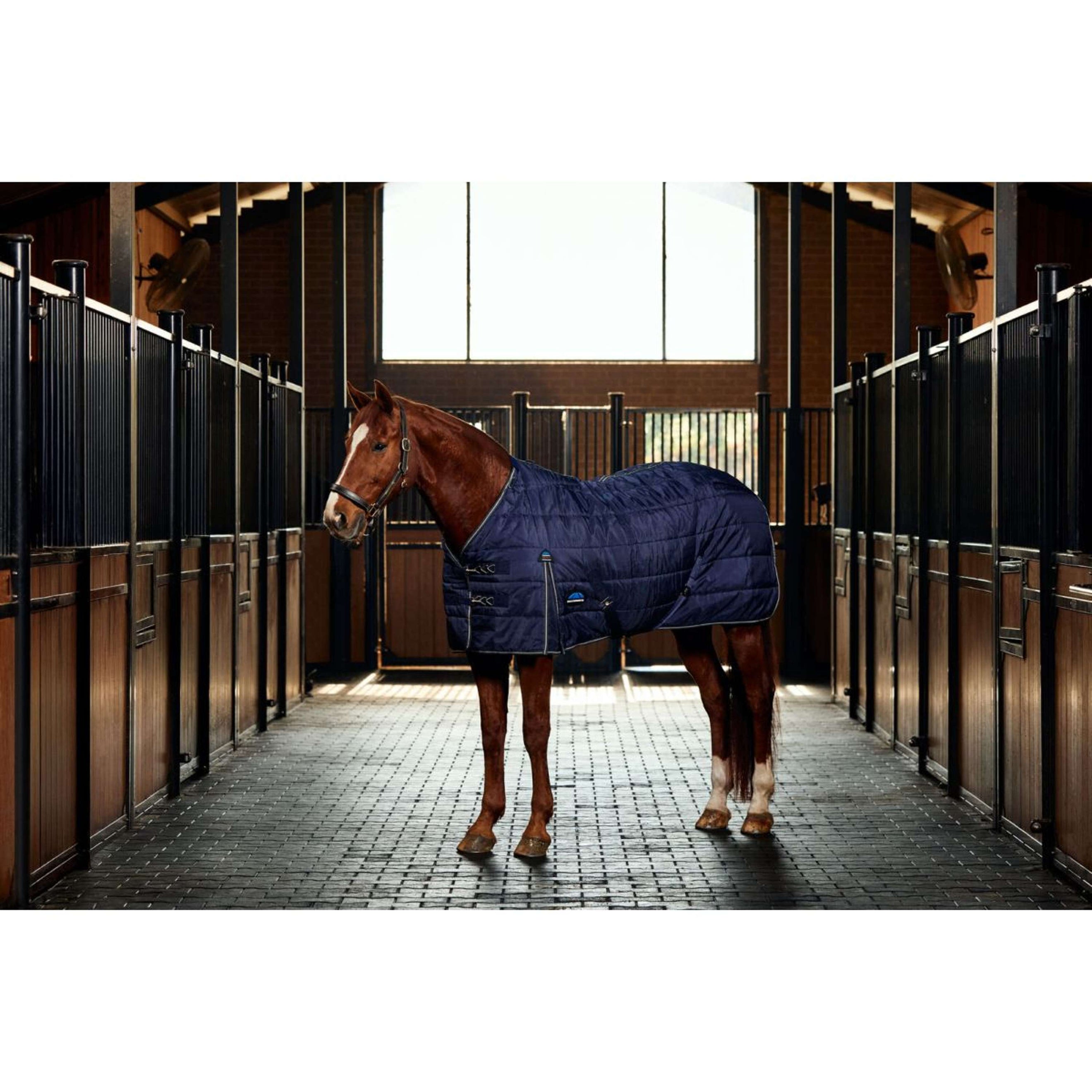 WeatherBeeta Stalldecke ComFiTec PP Channel Quilt Detach-A-Neck 220g Navy/Kohle