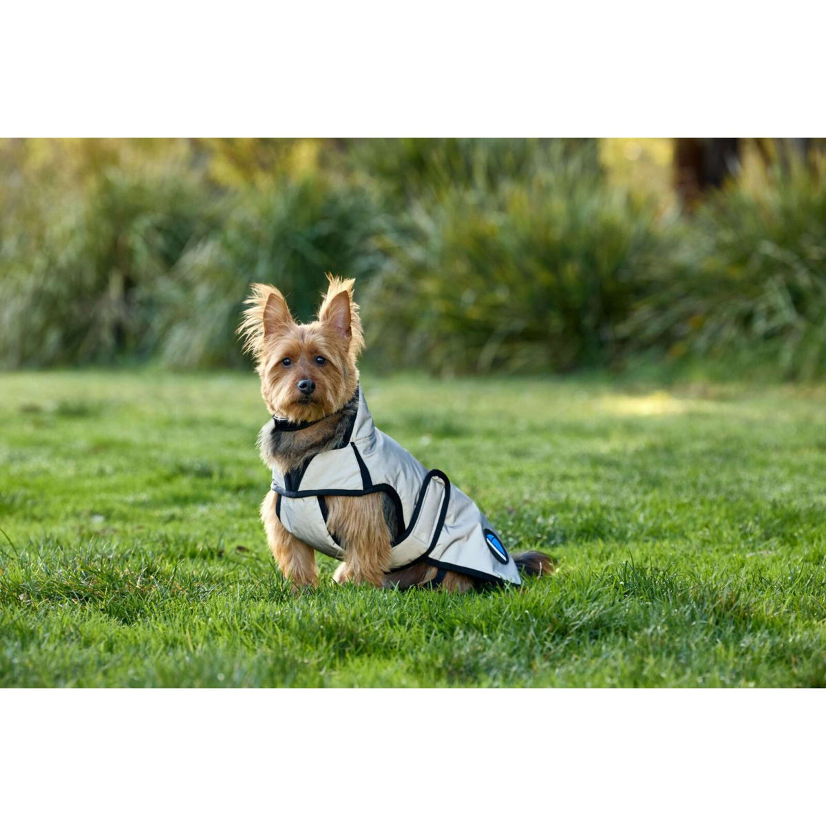 WeatherBeeta Hundedecke ComFiTec Reflective Showerproof Silber