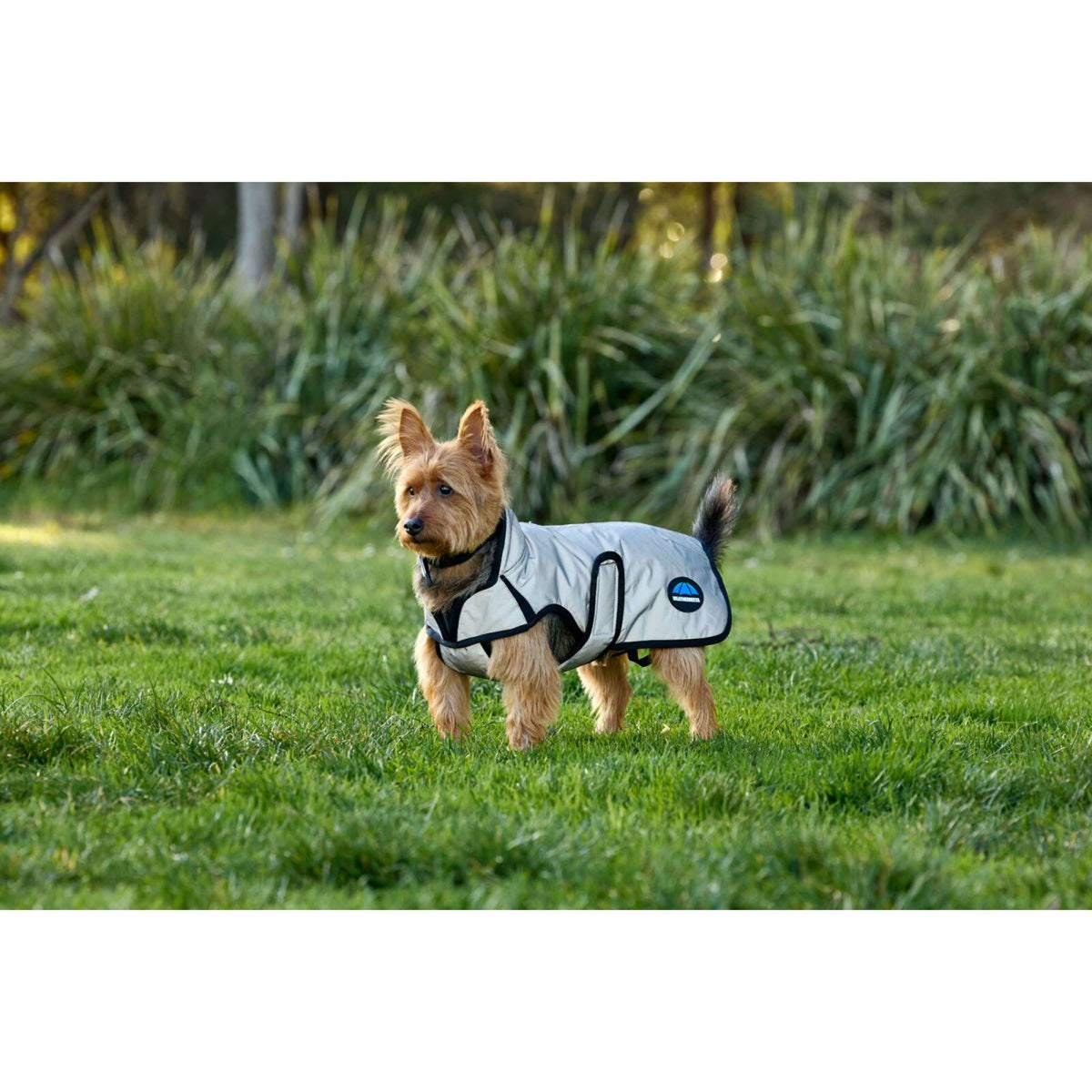 WeatherBeeta Hundedecke ComFiTec Reflective Showerproof Silber