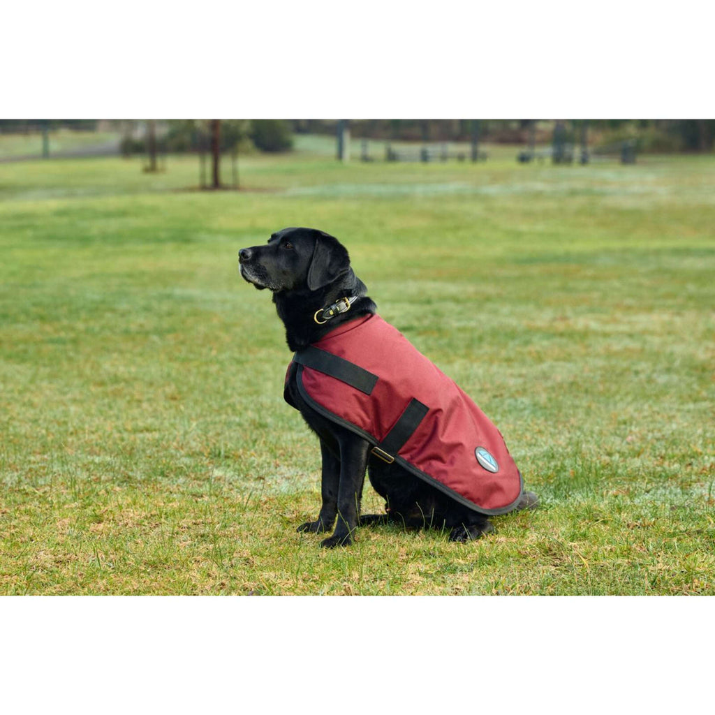 WeatherBeeta Hundedecke ComFiTec Classic Waterproof Burgunderrot