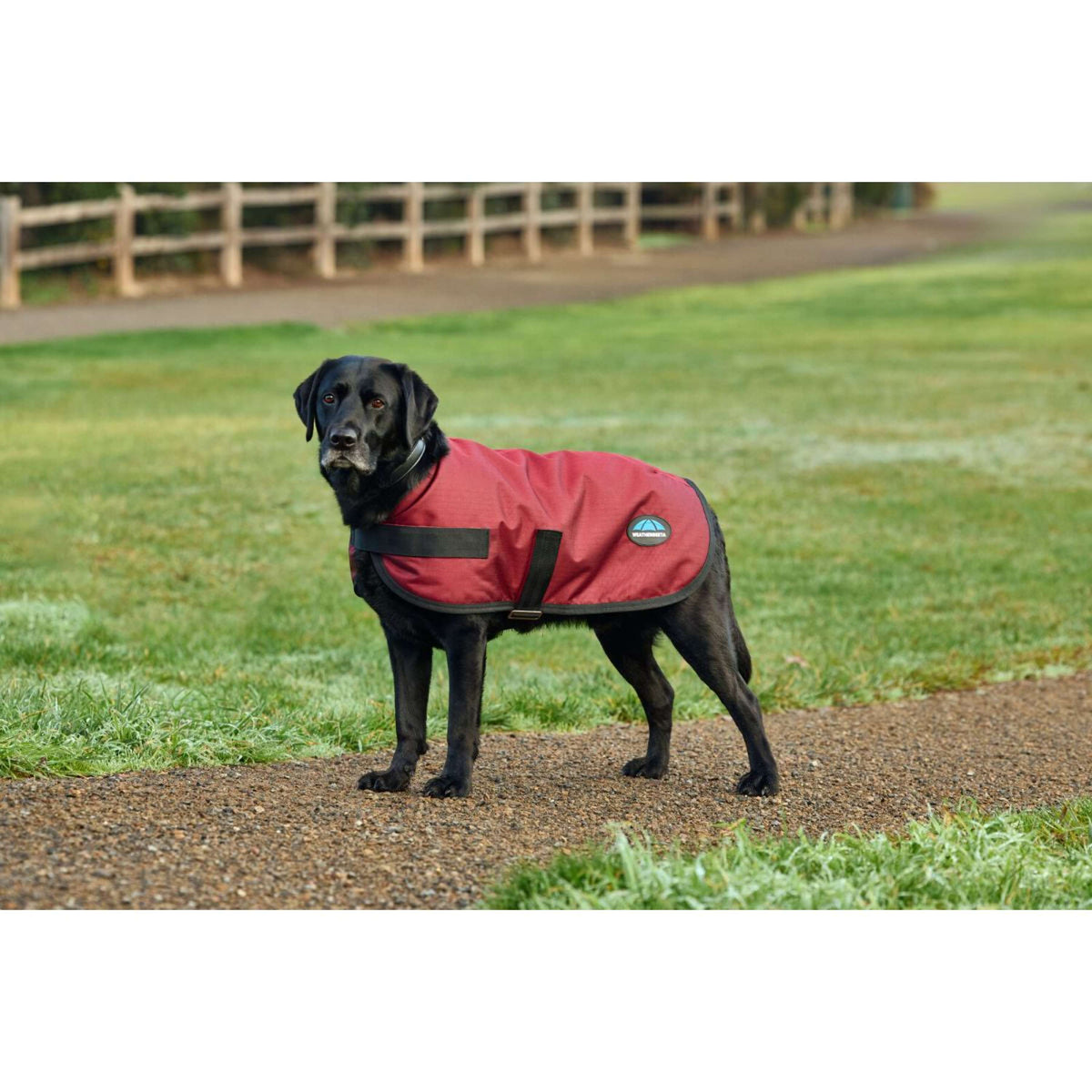 WeatherBeeta Hundedecke ComFiTec Classic Waterproof Burgunderrot