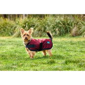 WeatherBeeta Hundedecke ComFiTec Classic Waterproof Burgunderrot