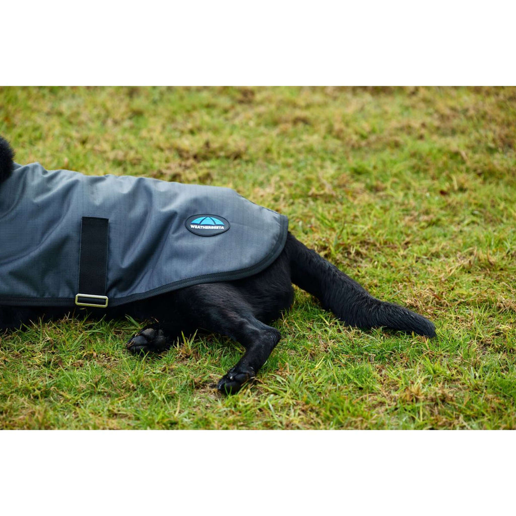 WeatherBeeta Hundedecke ComFiTec Classic Waterproof Kohle