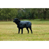 WeatherBeeta Hundedecke ComFiTec Classic Waterproof Kohle