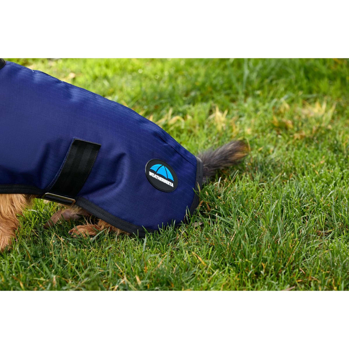 WeatherBeeta Hundedecke ComFiTec Classic Waterproof Navy