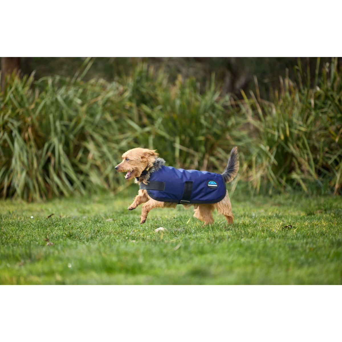 WeatherBeeta Hundedecke ComFiTec Classic Waterproof Navy