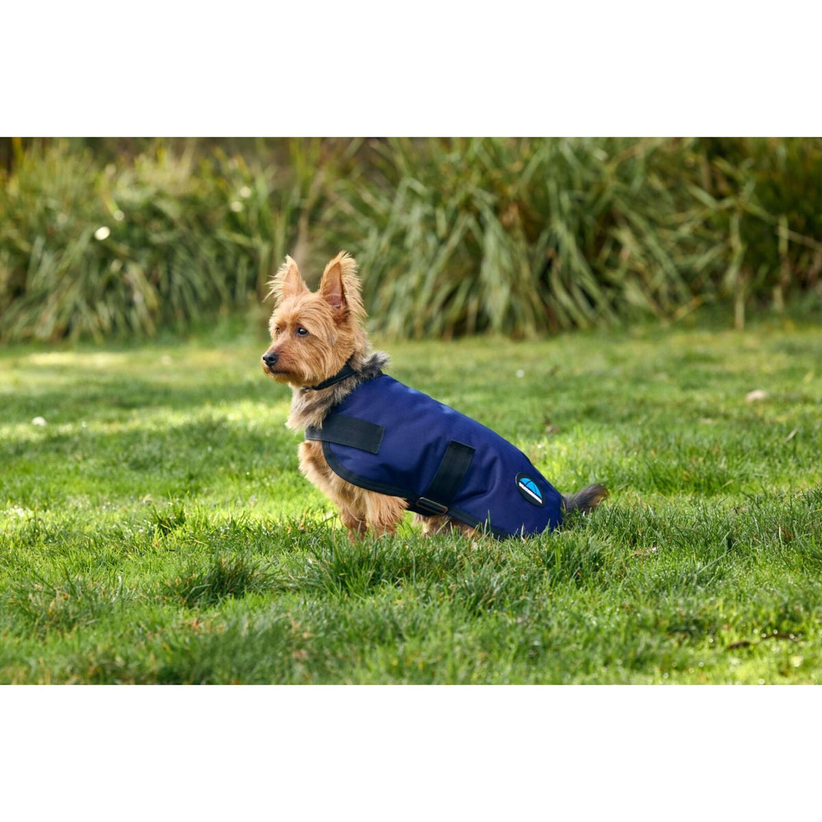 WeatherBeeta Hundedecke ComFiTec Classic Waterproof Navy