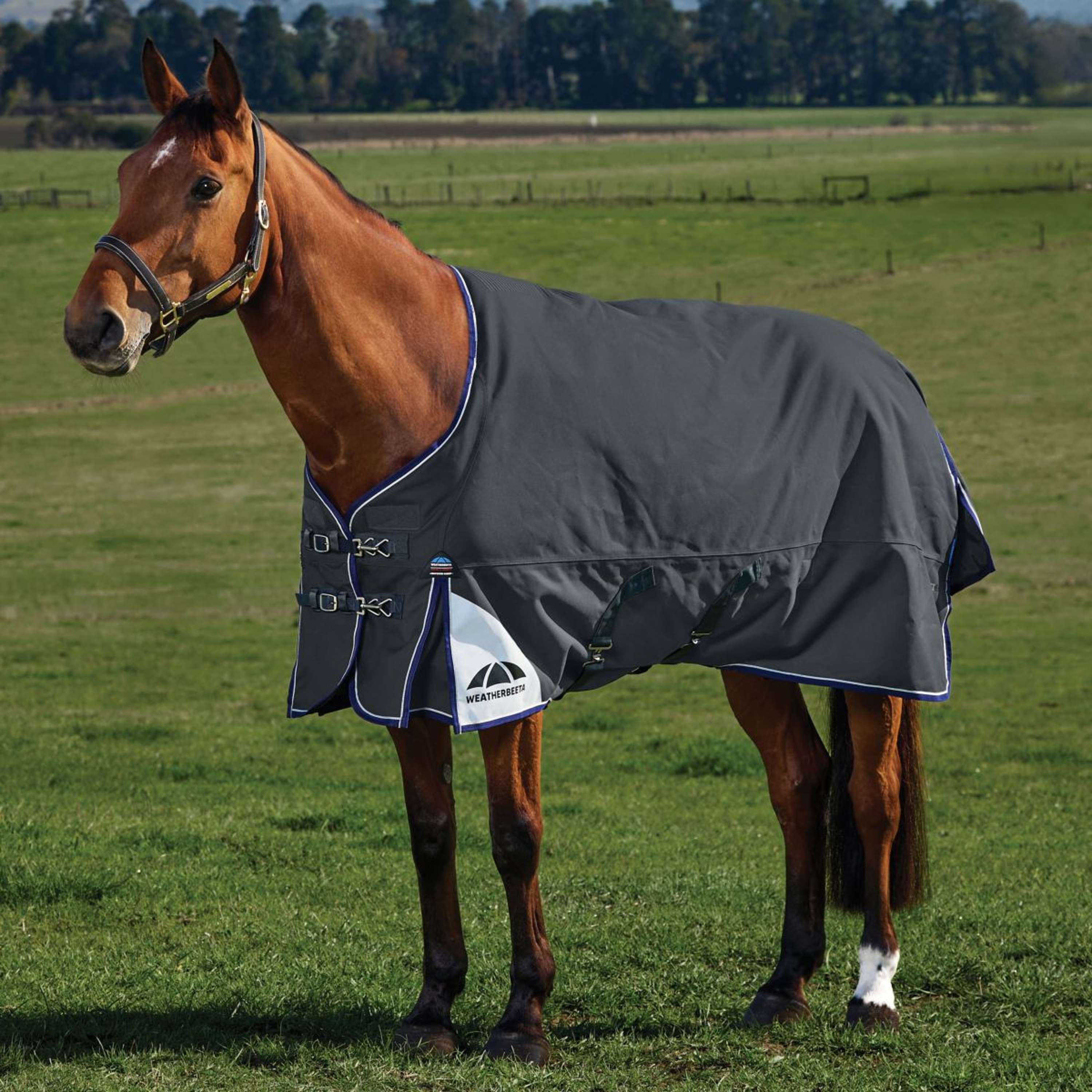 WeatherBeeta ComFiTec Ultra Turnout Standard Neck 220g Kohle