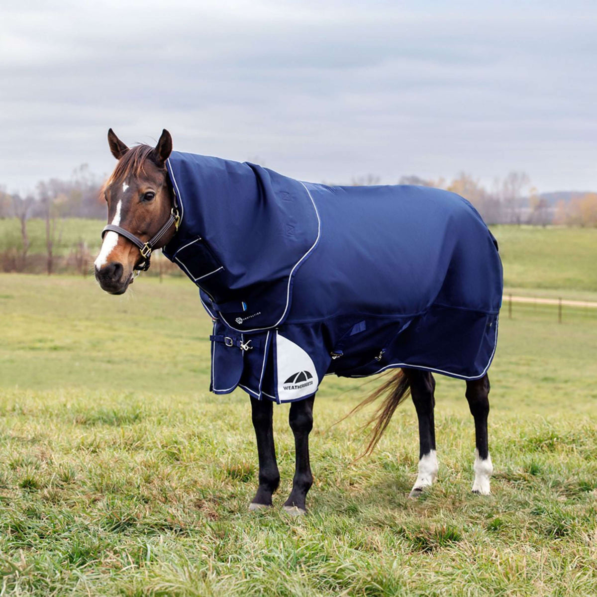 WeatherBeeta ComFiTec Ultra Turnout Standard Neck 220g Navy
