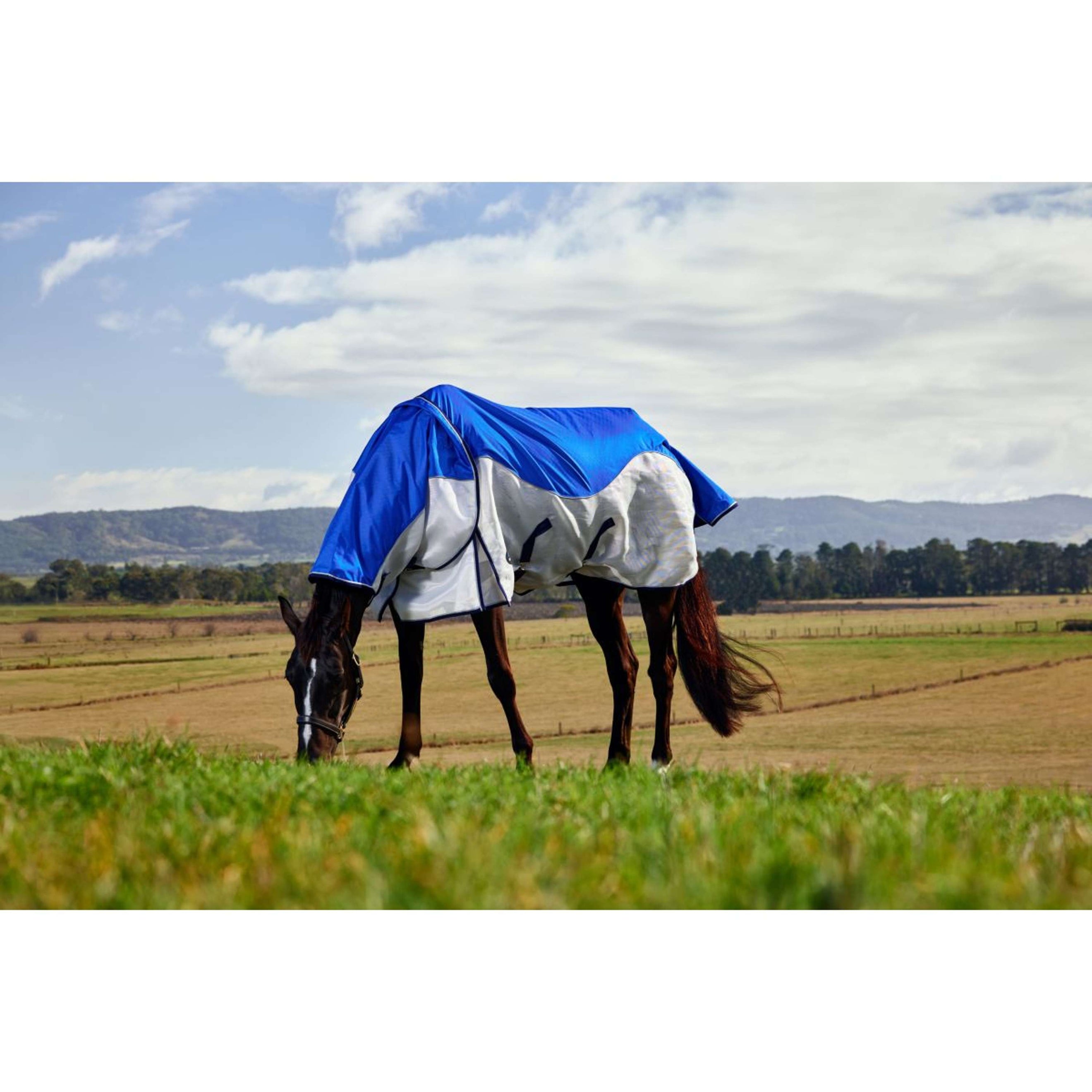 WeatherBeeta ComFiTec Duo Shield Deatch-A-Neck Blau/Silber/Navy WeatherBeeta ComFiTec Duo Shield Deatch-A-Neck Blau/Silber/Navy