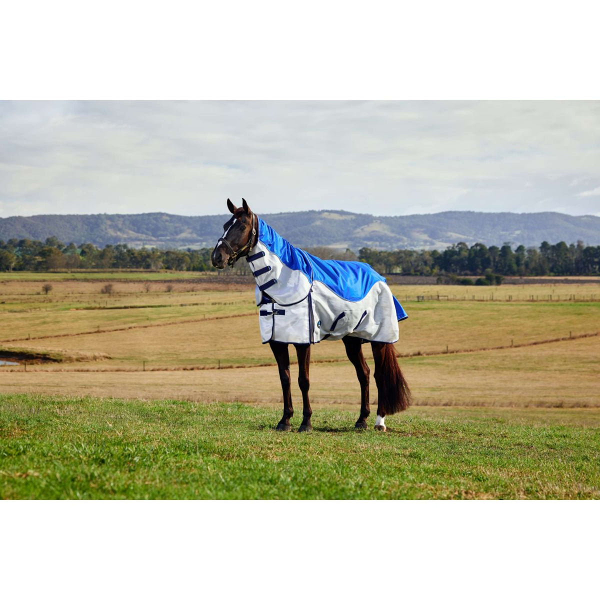 WeatherBeeta ComFiTec Duo Shield Deatch-A-Neck Blau/Silber/Navy