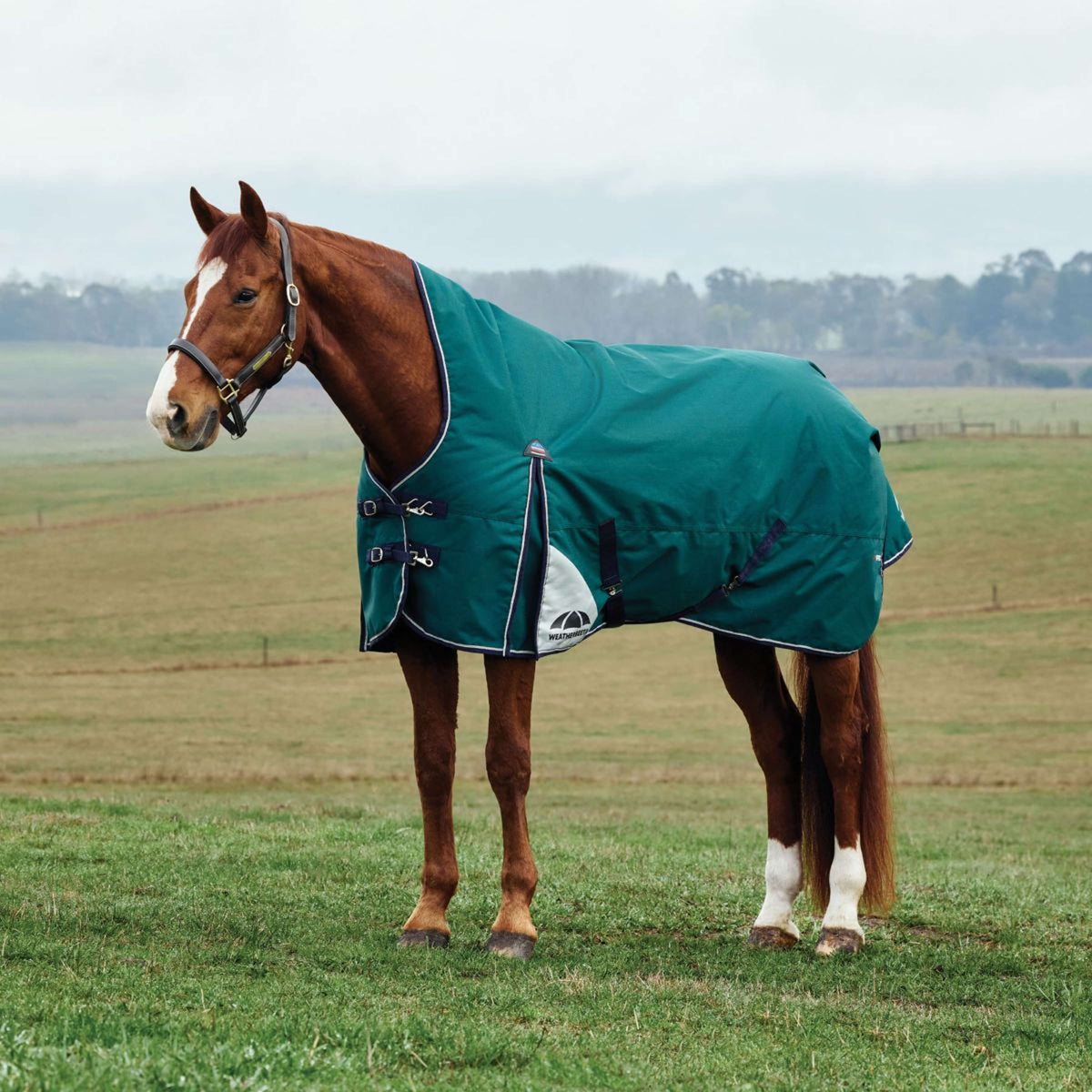 WeatherBeeta ComFiTec Plus Dynamic Turnout High Neck 0g Forest Green/Navy