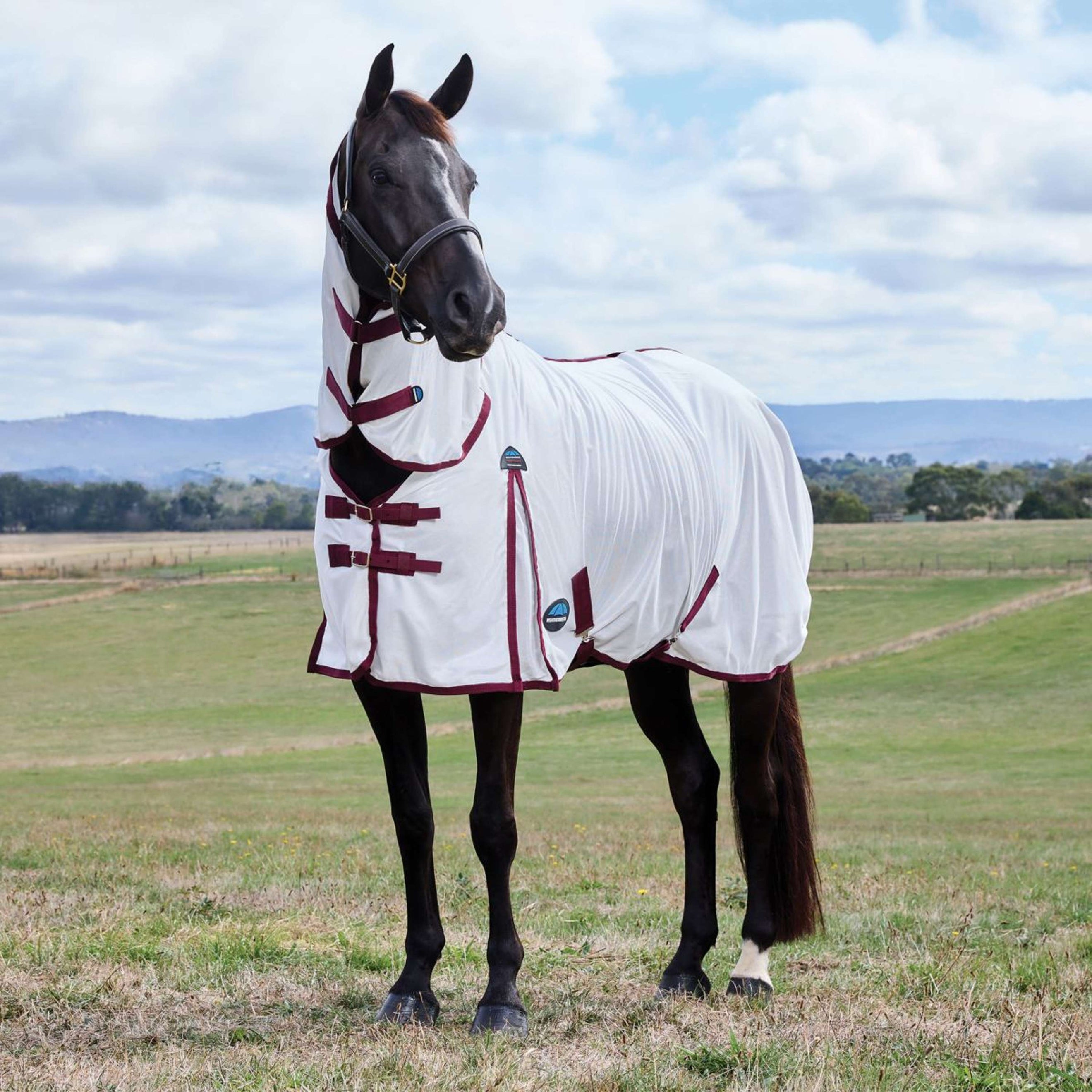 WeatherBeeta Fliegendecke ComFiTec Essential Combo Weiß/Burgundy WeatherBeeta Fliegendecke ComFiTec Essential Combo Weiß/Burgundy