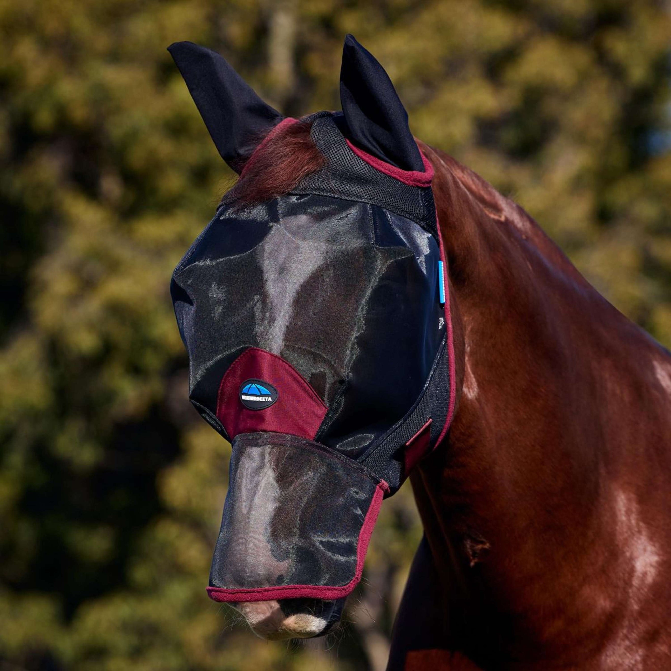 WeatherBeeta Fliegenmaske ComFiTec Fine mit Ohren und Nase Schwarz/Burgund WeatherBeeta Fliegenmaske ComFiTec Fine mit Ohren und Nase Schwarz/Burgund